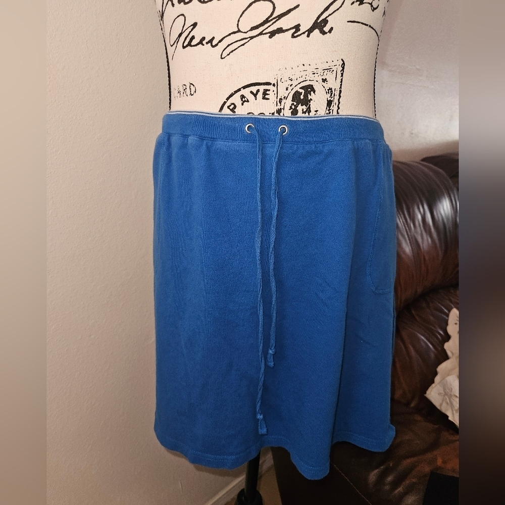Duck Head Womans Blue Mini Skirt Size Xl